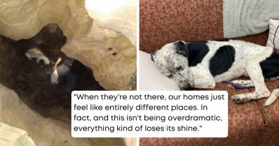 Group of Hikers Find Lost Dog 30 Feet Down in a Cave in Indiana