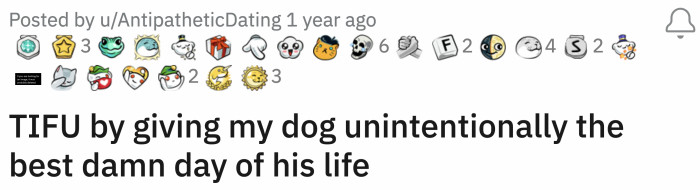 The post about hotdog king