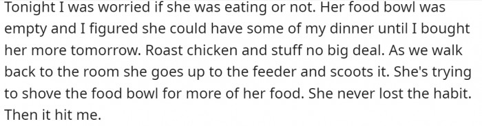 OP took Cissy to feed her, thinking it would make her feel better.
