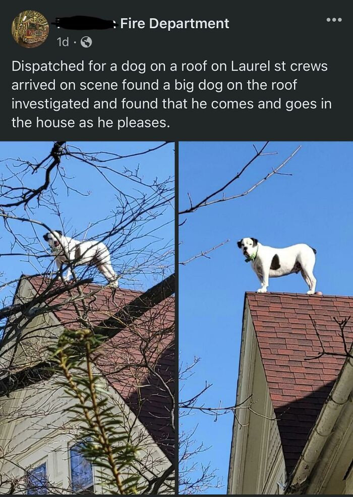 16. Posted by my local fire department