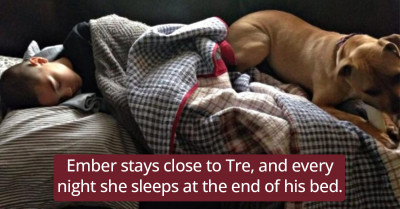 Adopted Pit Bull Was Just In Time To Save His Little Human Friend Who Was Having A Seizure