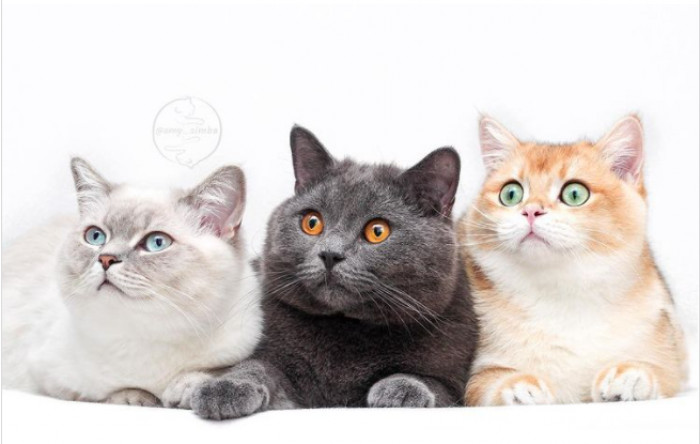 3. Hey, you over there! What's up?