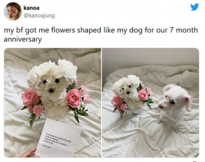 28. Stop! This is the best gift ever, and the flower dog is identical to the real dog!
