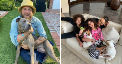 12 Celebrity Dogs Who Are Almost As Famous As Their Celebrity Owners