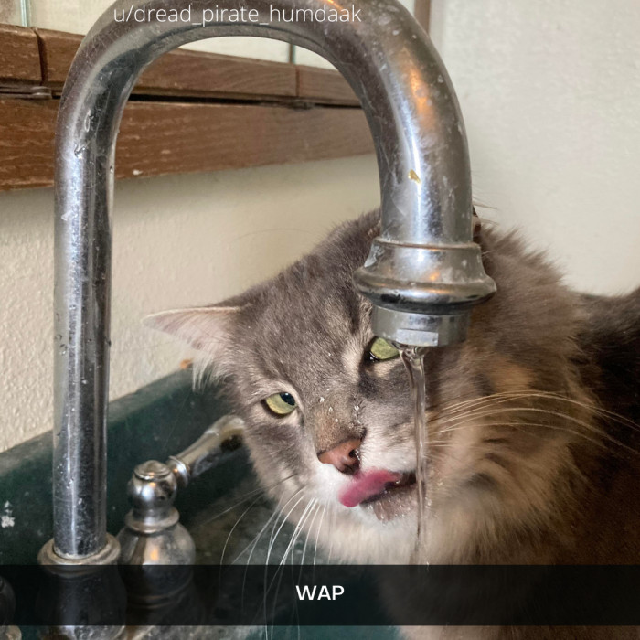 43. The caption is not wrong.