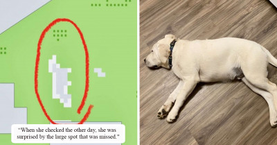 Roomba Perfectly Maps Outline Of Lazy Obstacle That Refused To Move While It Cleaned