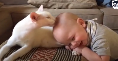 Wholesome Video Of A Cat Meeting His Owner's Baby For The First Time Leaves Us All In Awe