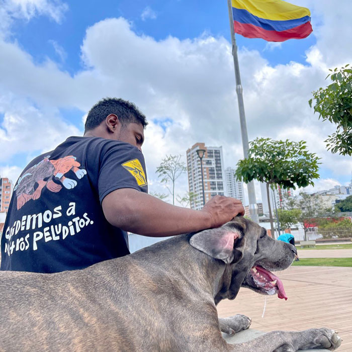 Pets have a way of bettering our lives, even though it comes with additional costs