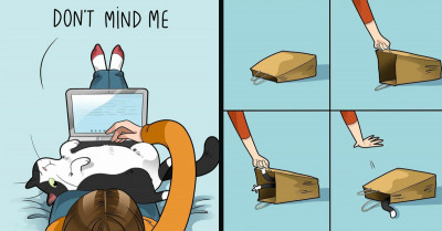 Comic Artist Illustrates What It's Really Like Living With Cats