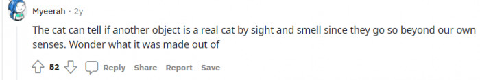 Another person saying cats are very in tune with senses so it is weird how the cat reacted. 