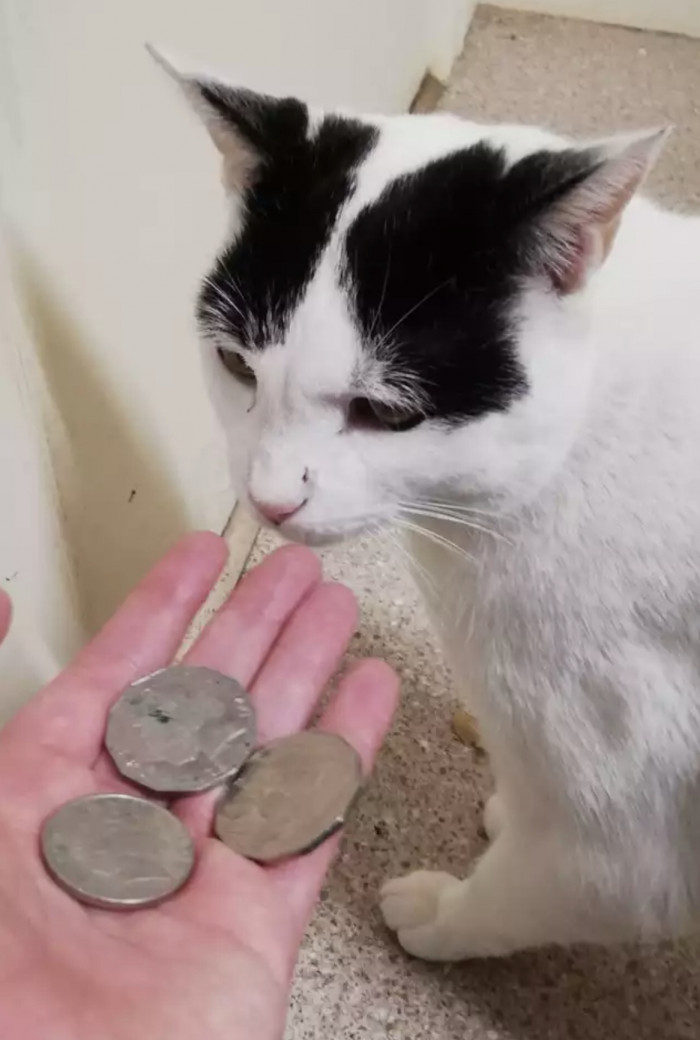 He indeed doesn’t seem very impressed with them.