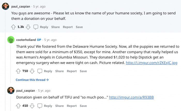 A user was willing to donate because of the kindness the original poster has shown toward the puppies.