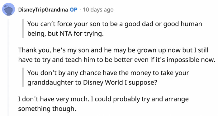 OP says that while she doesn't have Disneyland money, she will try to organize something fun for Annabella.