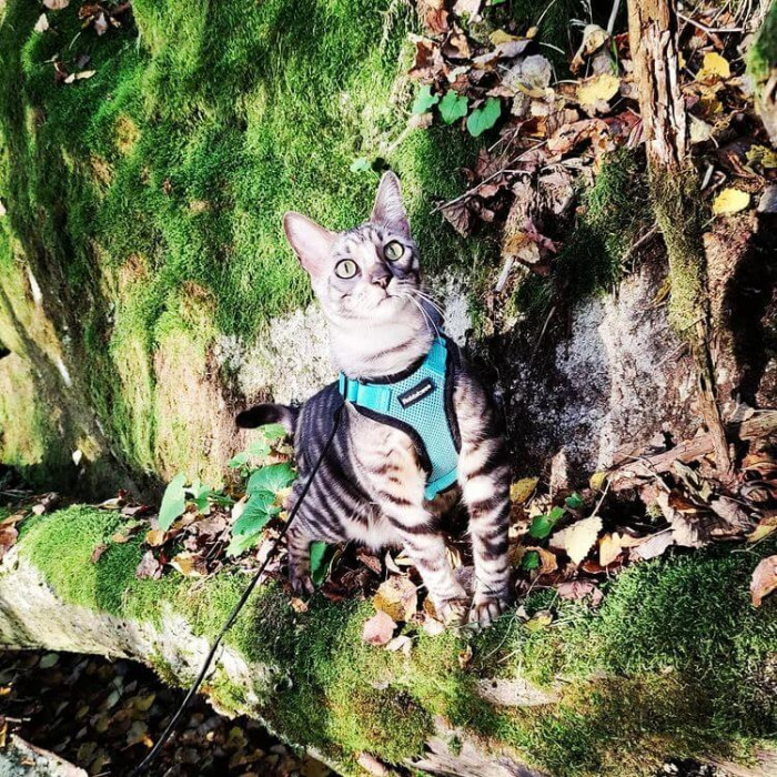 Isn't he adorable...