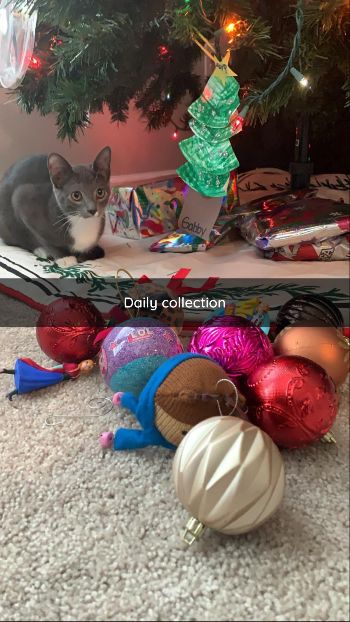 16. The Holiday Hunter