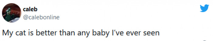 7. One time I said this at a baby shower, and the future dad said he would rather have a cat than a baby... (he's a great dad to the kid, don't worry!)