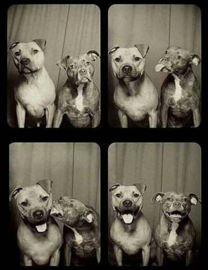 2. We just want one smooch