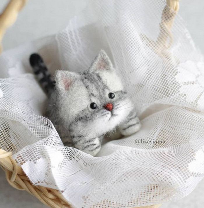 Aren't they so adorable?