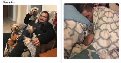 These Dads Didn’t Want Dogs In Their Homes But Now Can’t Live Without Them