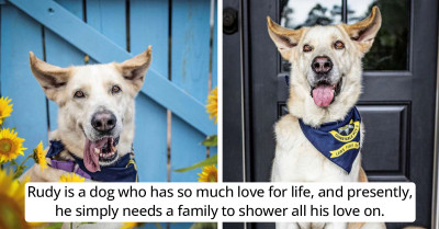 Meet Rudy, A Big, Adorable Shelter Dog Who Has Had No Luck In Finding A New Home
