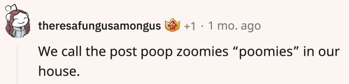 Poomies sound like a breed of pumas and Pomeranians