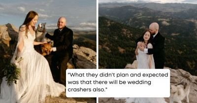 Unexpected Adorable Wedding Crashers Stole The Show At The Mountain Top Intimate Wedding Ceremony