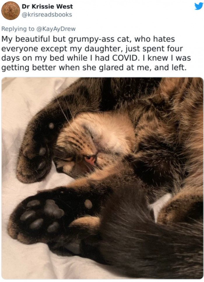 #3 Cats have the sixth sense, too.