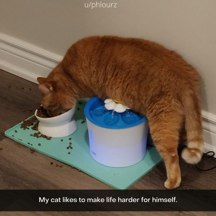 50. Think smarter, not harder.