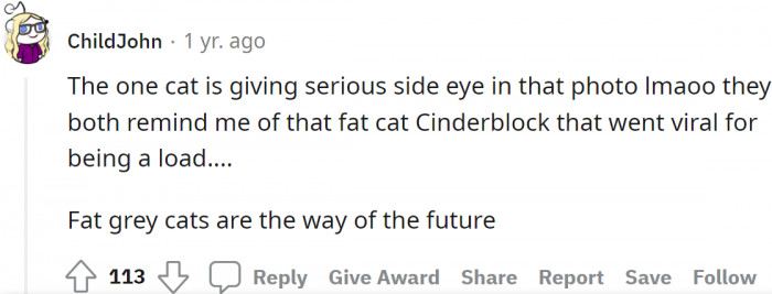 Both cats looked like Cinderblock, the viral and overweight cat.