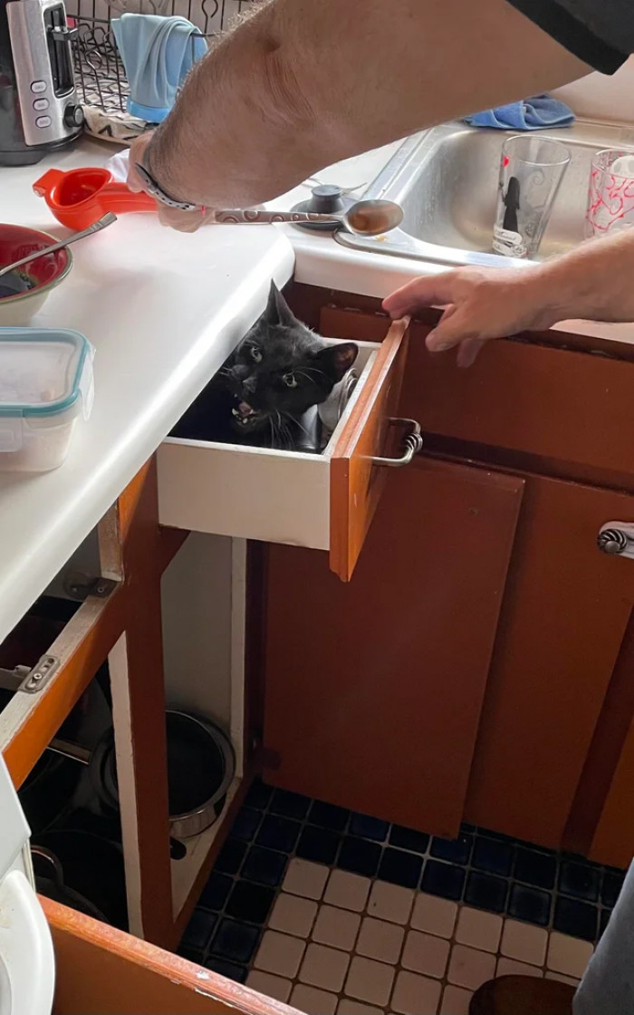 4. Some people really don't understand what privacy means