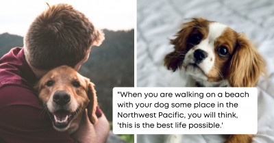26 Things That Dog Owners Believe Future Dog Owners Should Know