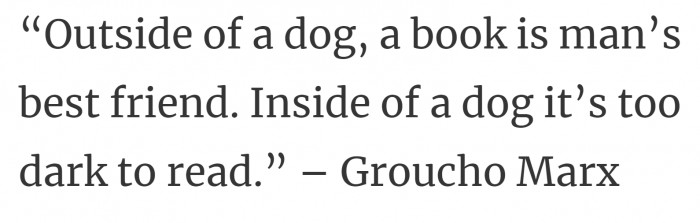 33. Maybe we should feed the man's best friend a flashlight.