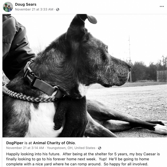 Other people were also excited for Caesar's move!