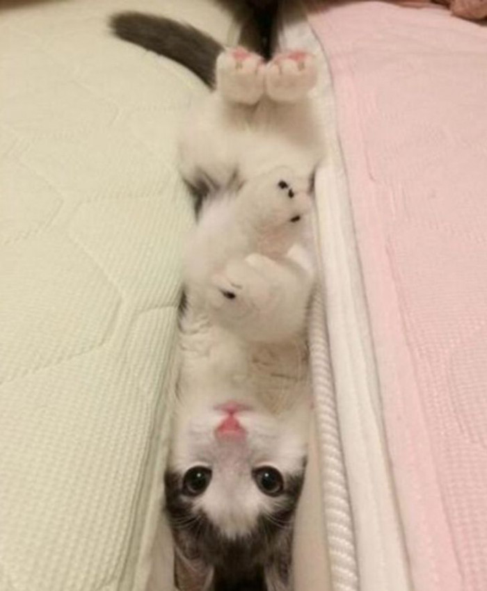 6. Hi, pretty, you can help me out now...