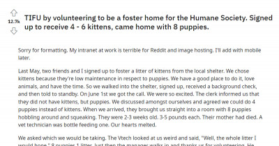 Man And His Friends Volunteer To Provide A Foster Home For A Few Kittens Only To Get 8 Endlessly Pooping Puppies