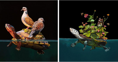 Beautiful Paintings By Artist Lisa Ericson Are Portraying Climate Change In A Fascinating And Unique Manner