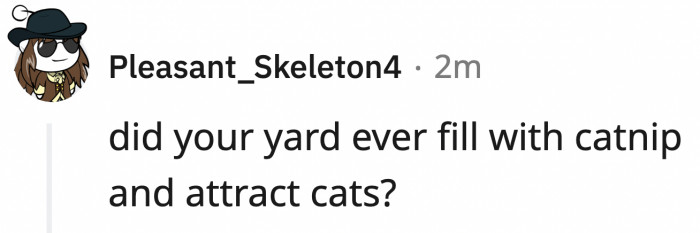 In another unrelated sub, OP was asked for an update