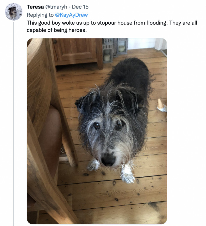 He prevented everyone from unnecessarily doggy paddling all night long