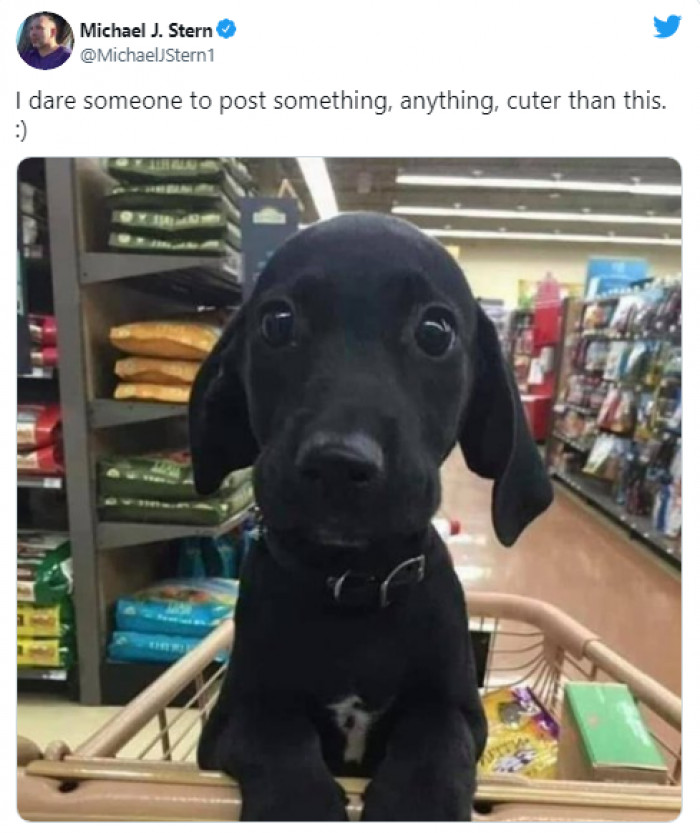 24. Ever seen anything cuter than this? I bet you haven't!