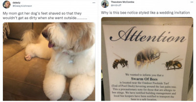 18 Hilarious But Questionable Animal Tweets That Will Confuse And Amuse You