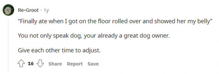 Right, a good dog owner already.