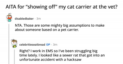 The Hilarious Replies To The AITA Story Of A Lady At The Vet Will Have You Laughing