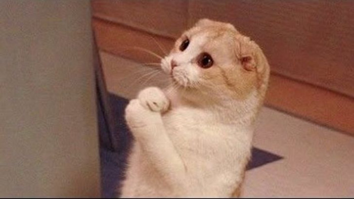 13. Oh, just give him what he wants already...