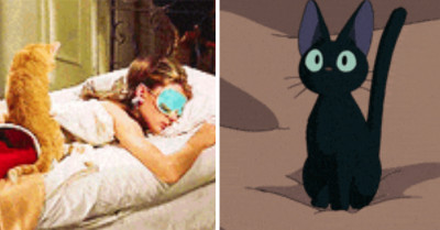 17 'Purrfect' Cats From Movies And Television That We All Know And Love