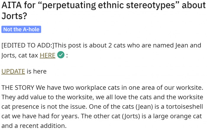 Both cats are completely different from each other