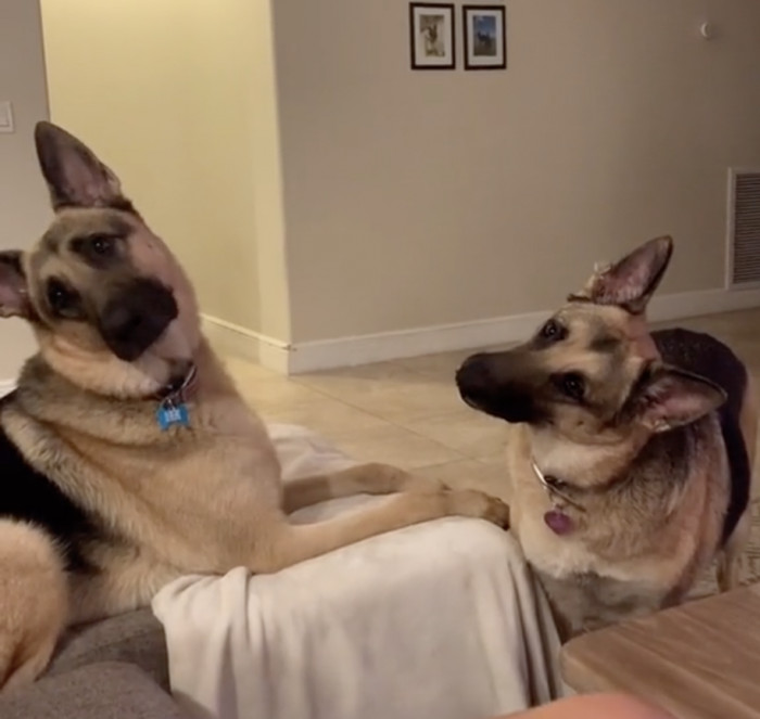 They look like funny cartoon characters who are sometimes out of sync