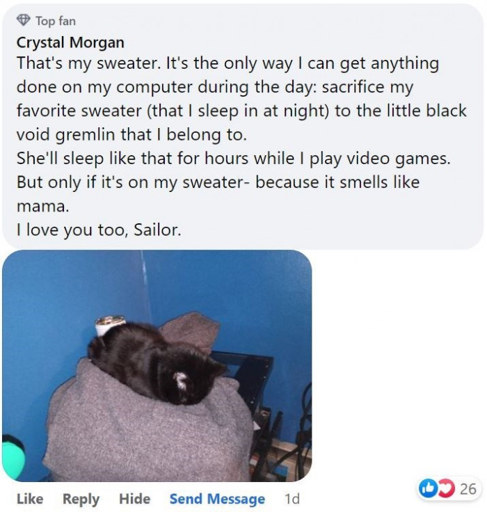 1. Isn't this the cutest thing ever? Kitty just wants mama all through the day