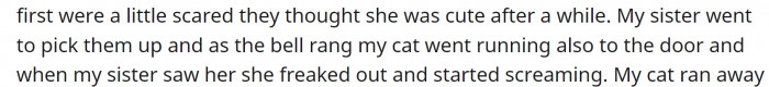 After initially being a little scared, the nieces quickly made friends with the cat and really enjoyed their time together. However, when their mom came to pick them up: