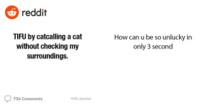 Things Went Hilariously Awry When This Redditor Beckoned to a Stray Cat in the Wrong Place at the Wrong Time