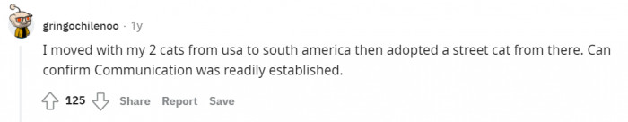 A first-hand experience